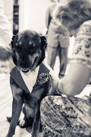 Wedding-B&W-27
