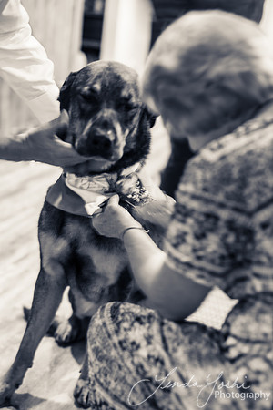 Wedding-B&W-26